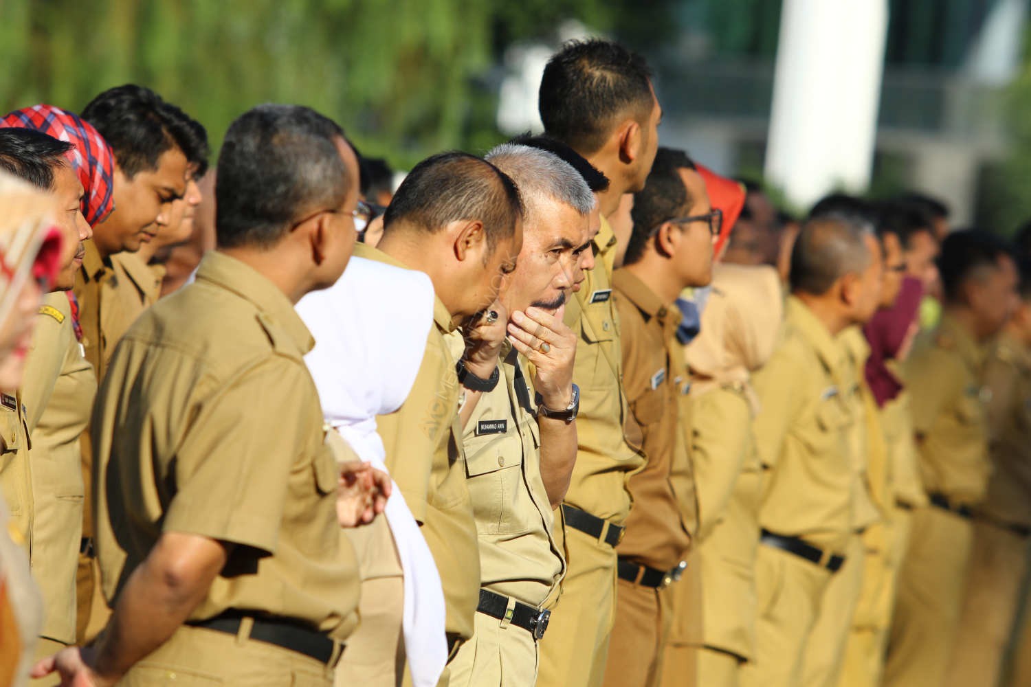 Mengetahui Perbedaan Honorer, PPPK, CPNS, dan PNS