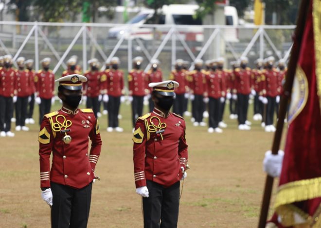 Apa Itu Talent Scouting STIN? Cari Tahu di Sini!