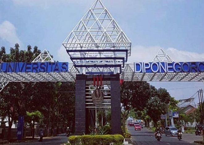 Pendaftaran IUP Undip 2022 Masih Dibuka Sampai 25 April, Berikut Infonya