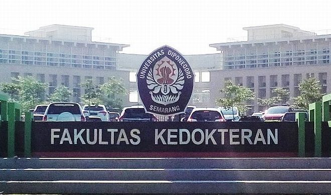 Kedokteran Undip: Sejarah, Kurikulum, dan Mata Kuliah