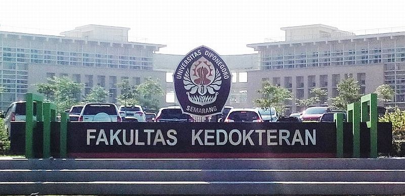 Kedokteran Undip: Sejarah, Kurikulum, dan Mata Kuliah