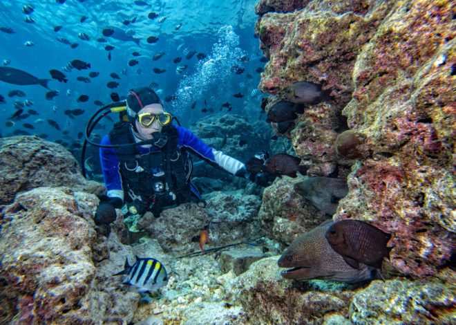 8 Prospek Kerja Ilmu Kelautan dan Gajinya, Tidak Selalu di Laut Kok!