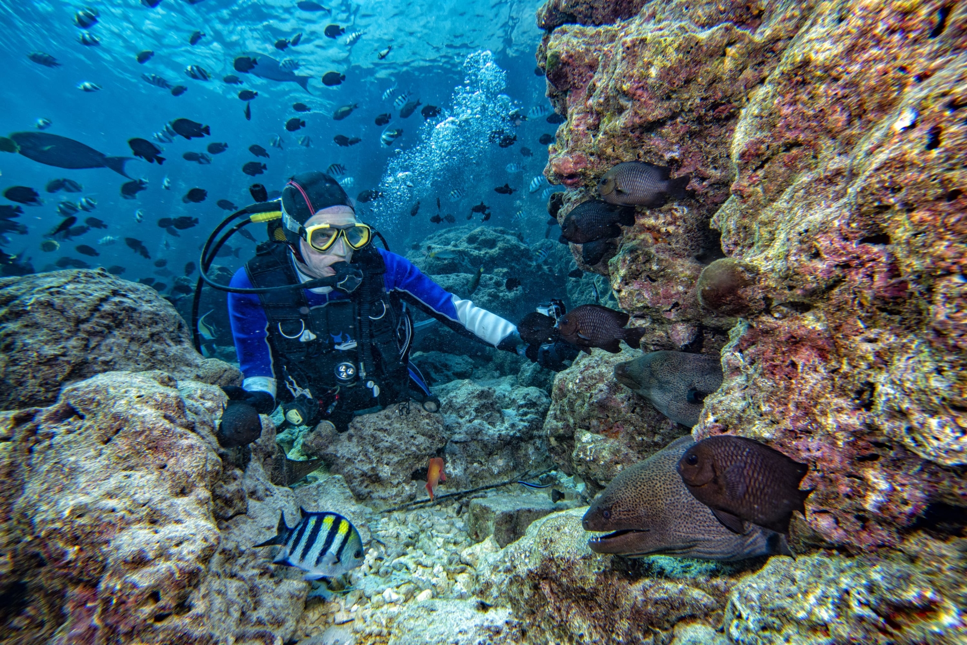 8 Prospek Kerja Ilmu Kelautan dan Gajinya, Tidak Selalu di Laut Kok!