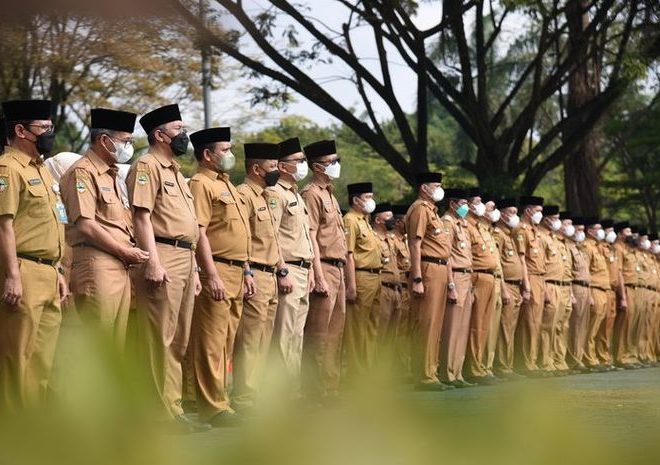 10 Daftar Jurusan kuliah yang Berpeluang Tinggi di CPNS 2024