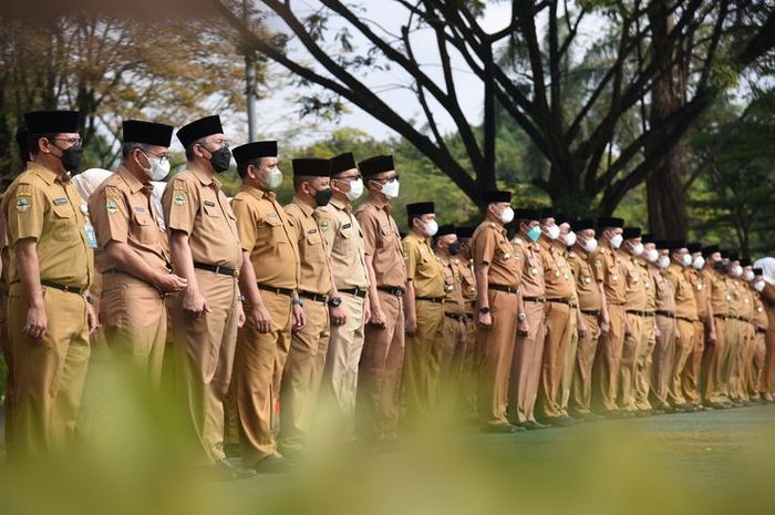 10 Daftar Jurusan kuliah yang Berpeluang Tinggi di CPNS 2024