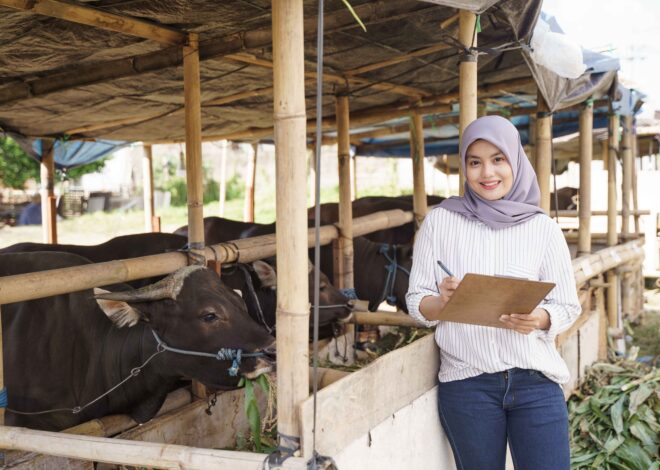 Daftar Mata Kuliah Jurusan Peternakan, Universitas Pilihan dan Prospek Karier Lulusannya