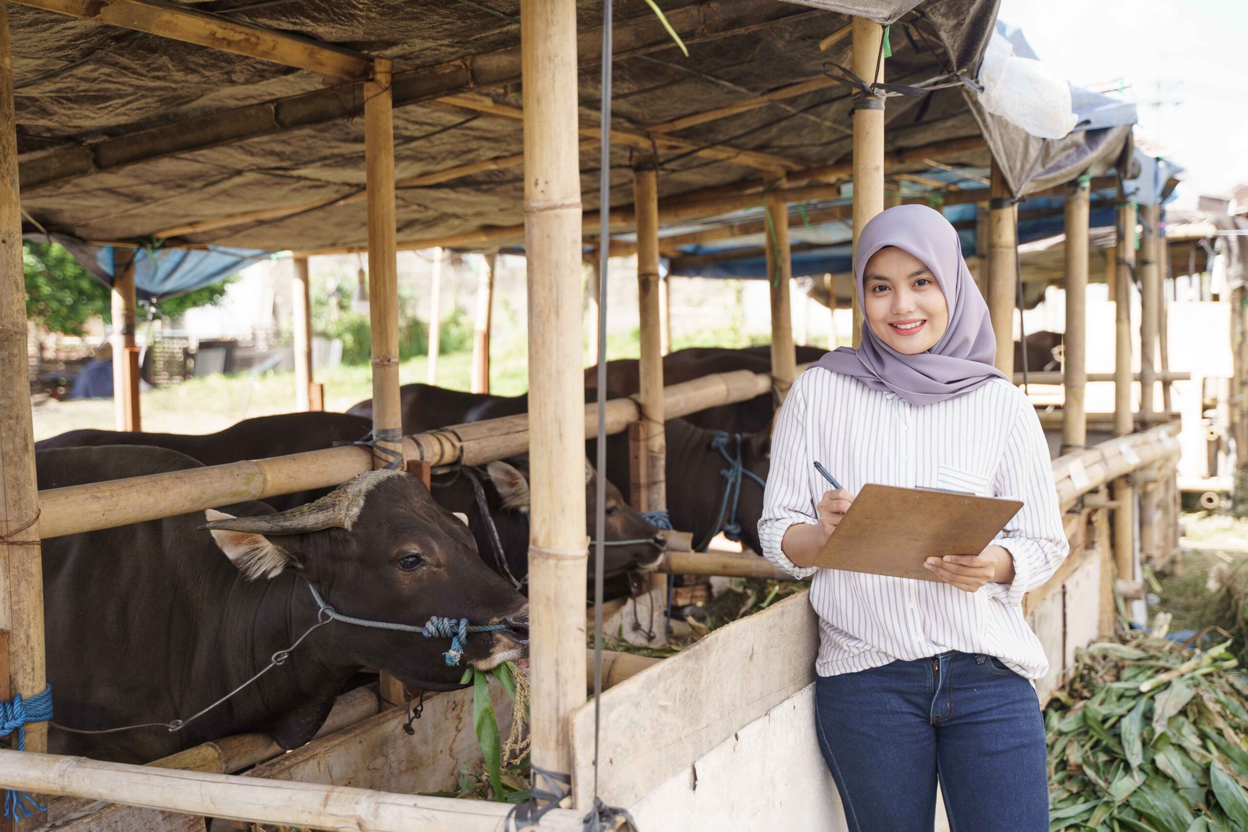 Daftar Mata Kuliah Jurusan Peternakan, Universitas Pilihan dan Prospek Karier Lulusannya