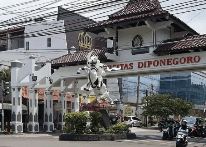 Pendaftaran UM UNDIP 2025, Cek Persyaratan Sampai Materi Ujiannya!