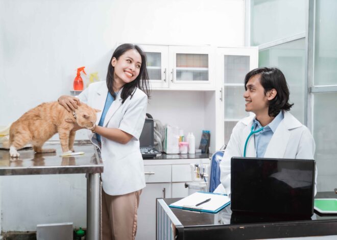 7 Fakultas Kedokteran Hewan Terbaik di Indonesia versi THE WUR by Subject Veterinary Science 2025