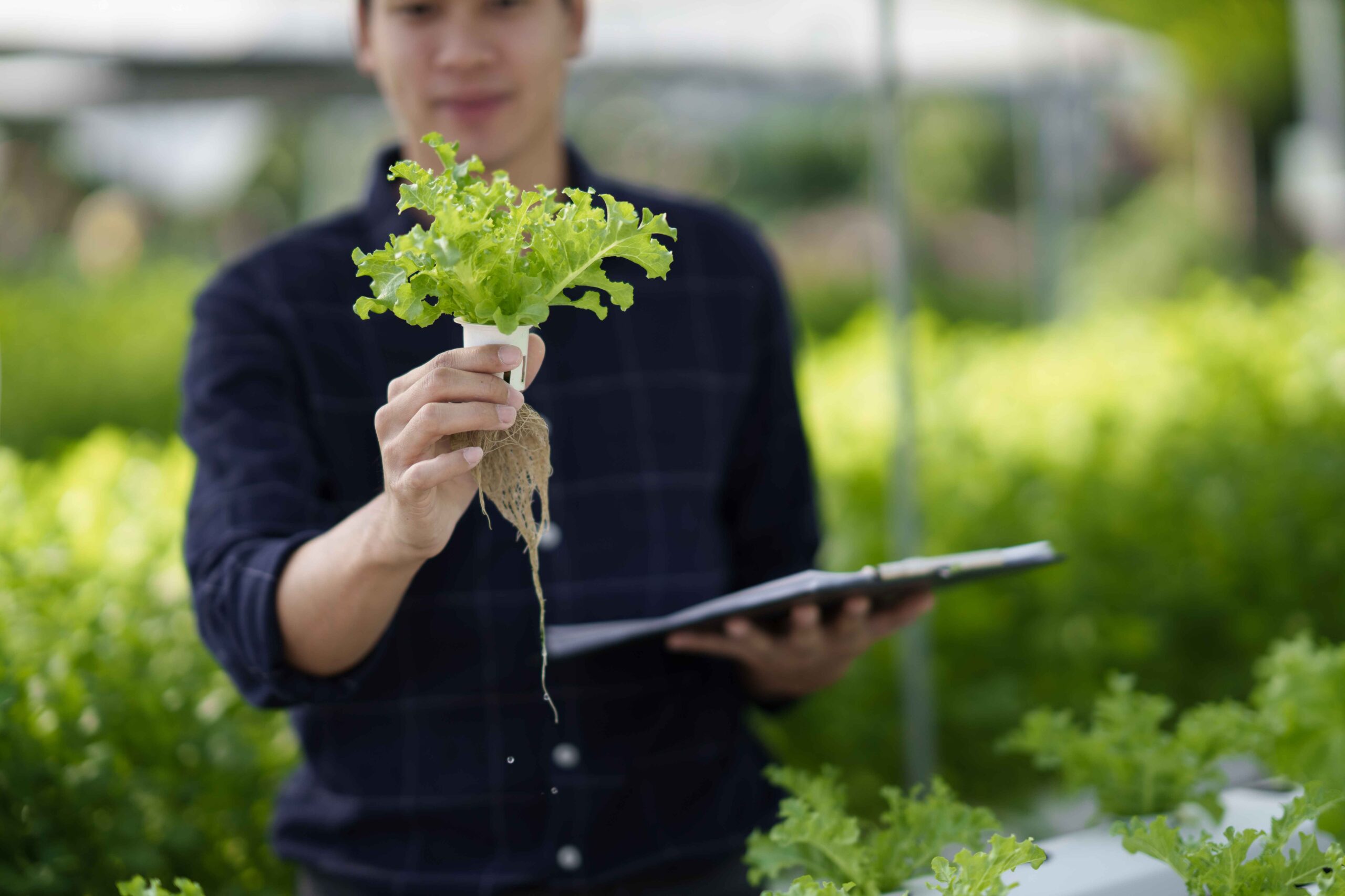 Agroteknologi kerja apa