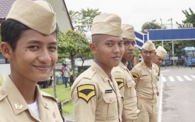 Jalur Pola Pembibitan dan Non Pola Pembibitan, Apa Bedanya?