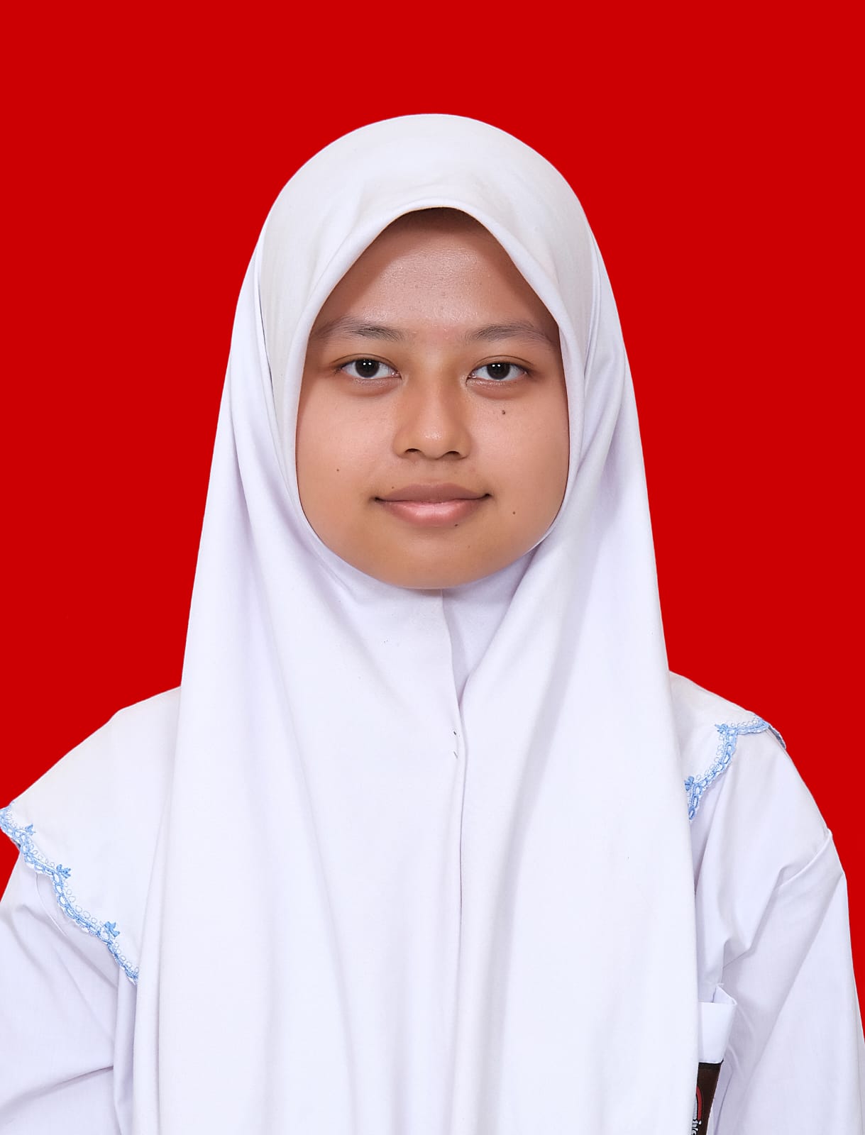 Bimbel UTBK SNBT